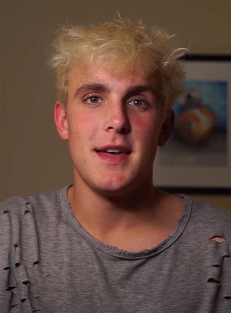 jake paul wikipedia|jake paul birthplace and date.